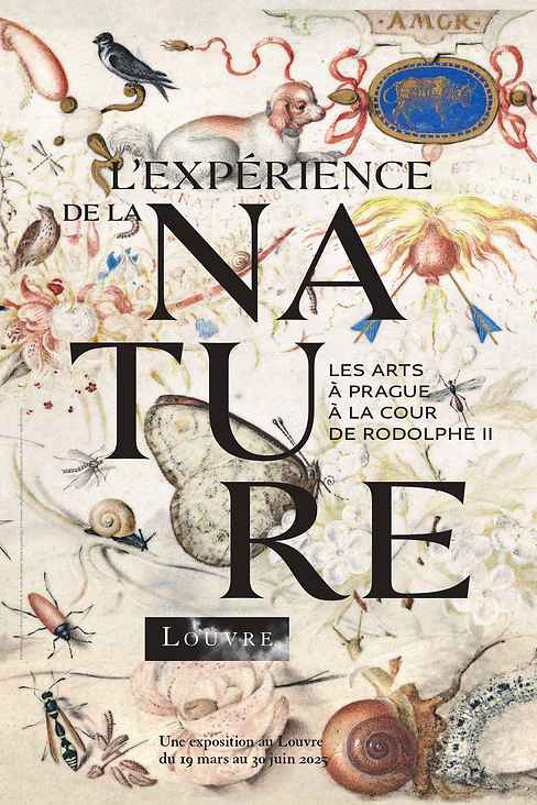 The Experience of Nature