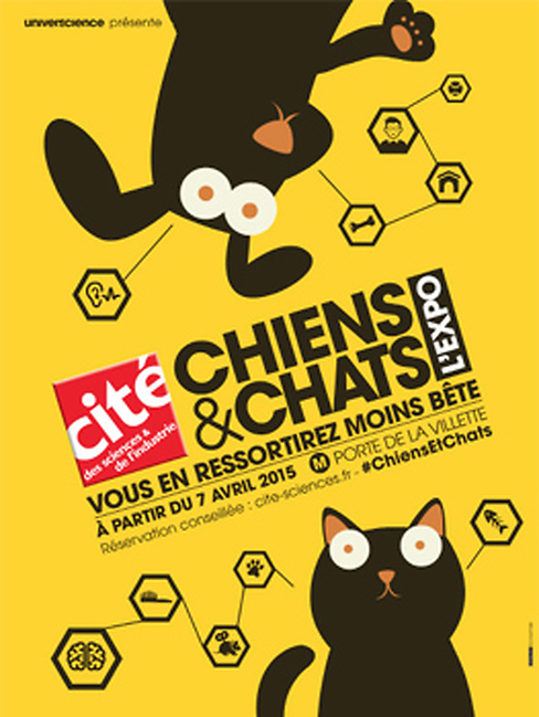 Chiens et chats
