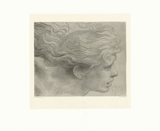 Etude pour un ange pour la fresque : "Héliodore chassé du temple" (Dans la chambre d'Héliodore au palais Vatican)