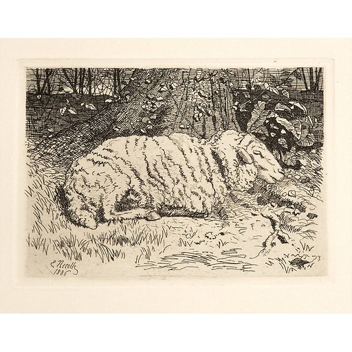 The sheep - Emile-Frédéric Nicolle