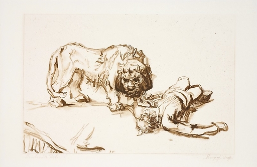 Lion s'approchant d'un cadavre - Rembrandt