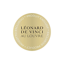 Carnet de croquis A5 Léonard de Vinci - Étude pour le manteau de la Vierge