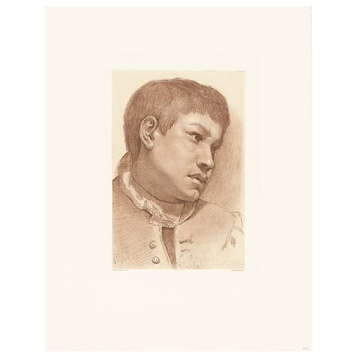 head of a young boy