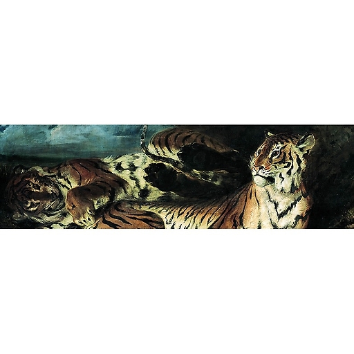 ÉTude de deux tigres, dit aussi jeune tigre jouant avec sa mère (détail)