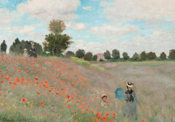 Les coquelicots à Argenteuil