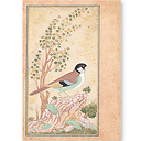 Shafi 'Abbasi, Oiseau sur un rocher