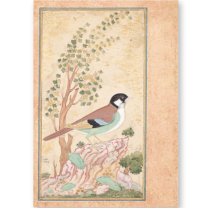 Shafi 'Abbasi, Oiseau sur un rocher