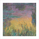 Soleil couchant (détail)