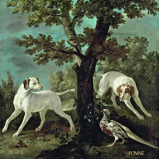 Perle et ponne, chiennes de la meute de louis XV (détail)