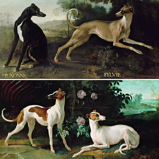 Mignonne et sylvie, chiens de louis XV - misse et turlu