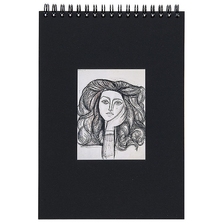 Carnet de croquis Picasso "Portrait de Françoise"