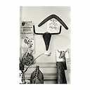 Reproduction sous Marie-Louise David Douglas Duncan - Sculpture Tête de taureau accrochée au mur du salon de l'atelier de La Californie, Cannes 1957