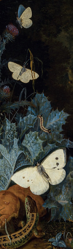 Marque page Hamilton - Plantes, insectes et reptiles dans un sous-bois