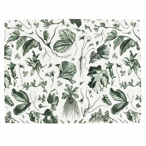 Set of 2 Place mats The King's Herbarium Green - 38x50 cm