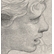 Etude pour un ange pour la fresque : "Héliodore chassé du temple" (Dans la chambre d'Héliodore au palais Vatican)