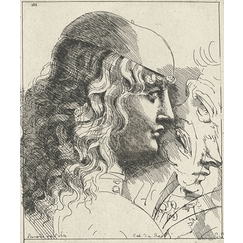 Young man's head seen in profile, head covered with a cap and long hair - Leonardo da Vinci