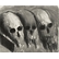 Miquel Barceló: Vanity of the three skulls, 2005 - Miquel Barceló