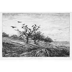 Engraving The tree with crows - Charles-François Daubigny