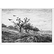 The tree with crows - Charles-François Daubigny
