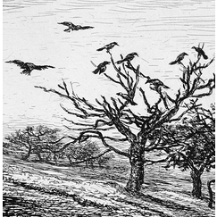 The tree with crows - Charles-François Daubigny
