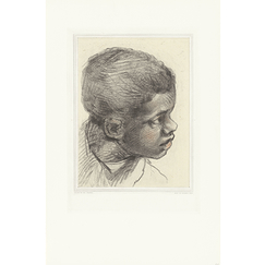 Engraving Young black head - Veronese