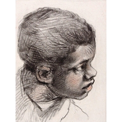 Engraving Young black head - Veronese