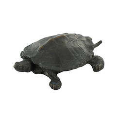 Turtle Barye - Bronze