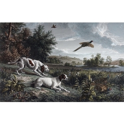 Diane and Blonde, dogs of Louis XIV, hunting pheasant - François Desportes