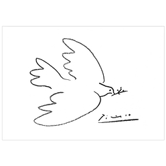 Poster Picasso - Dove