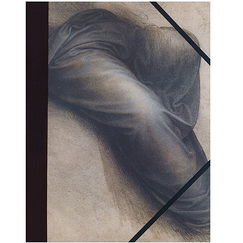 Portfolio File da Vinci - Study for the Virgin's Coat