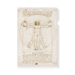 Clear File da Vinci - The Vitruvian Man