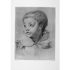 Engraving Head of a young boy - Carrache