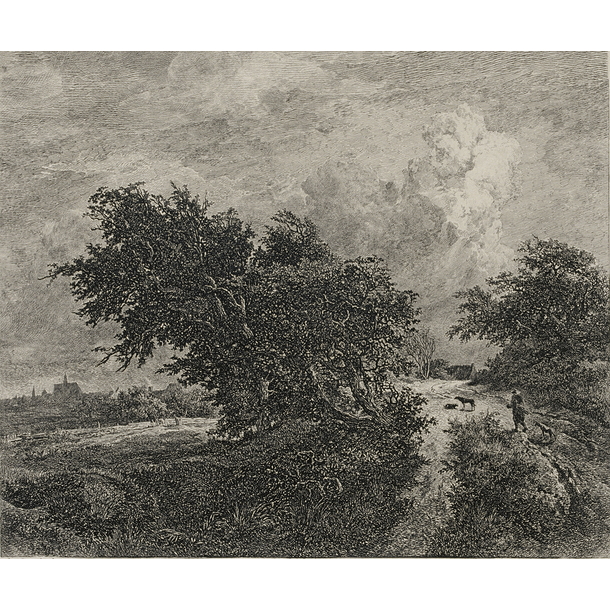 The bush - Van Ruisdael