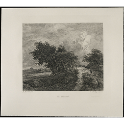 Estampe Le buisson - Van Ruisdael