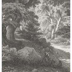 Engraving Forest of Fontainebleau: the Charlemagne and the Roland - Eugène Bléry