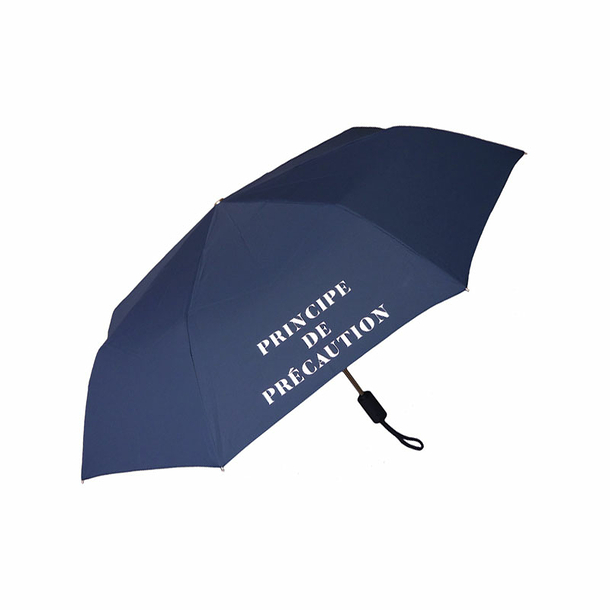 Foldable Umbrella Constitutional Council - Principe de précaution