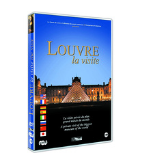 DVD Louvre, la Visite