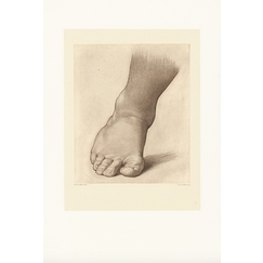 Engraving Study for the right foot of the Saint John the Baptist in the Desert - Raphael