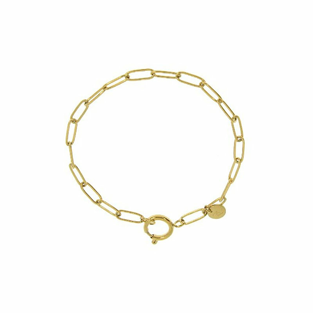 Bracelet for charm's with trombone chain