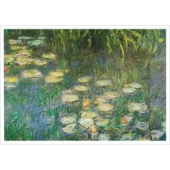 Postcard Monet - The Water Lilies: Morning Effect