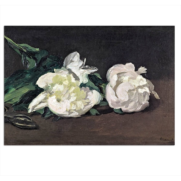 Postcard Manet - Branch of White Peonies and Secateurs