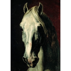 Carte postale "Tête de cheval blanc"