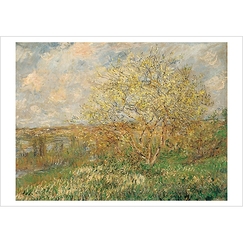 Postcard Monet - The Spring 