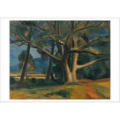 Postcard Derain - The Big Tree