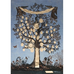 Postcard Polazzi - Family Tree of the House of Bonaparte
