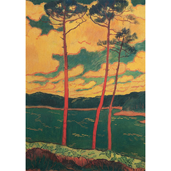 Carte postale "Lacombe - Les pins rouges"