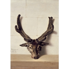 Postcard Oudry - Strange Head of a Stag on a Stone Wall