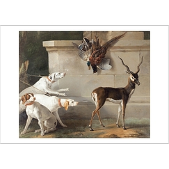 Carte postale Oudry - Trois Chiens et une Antilope