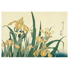 Postcard Hokusai - Grasshopper and Iris