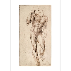 Postcard Michelangelo - Standing Male Nude